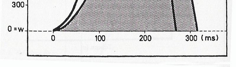 L intervento delle fibre muscolari viene presentato secondo l ipotesi suggerita da Bosco, 1985.