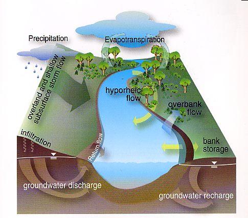 naturali e artificiali nella