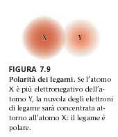 Polarità delle molecole Le molecola tenute assieme da legami covalenti possono essere: polari, come risultato di una distribuzione asimmetrica di elettroni.