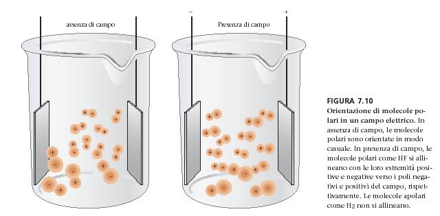 La tendenza di molecole ad orientarsi in un campo