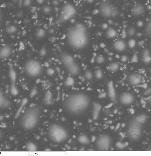 Figura 9: Microfotografia SEM del campione E 1000X Agglomerati chiari di forma abbastanza regolare, ma dimensioni variabili; sono distribuiti in modo omogeneo nella matrice; sono costituiti
