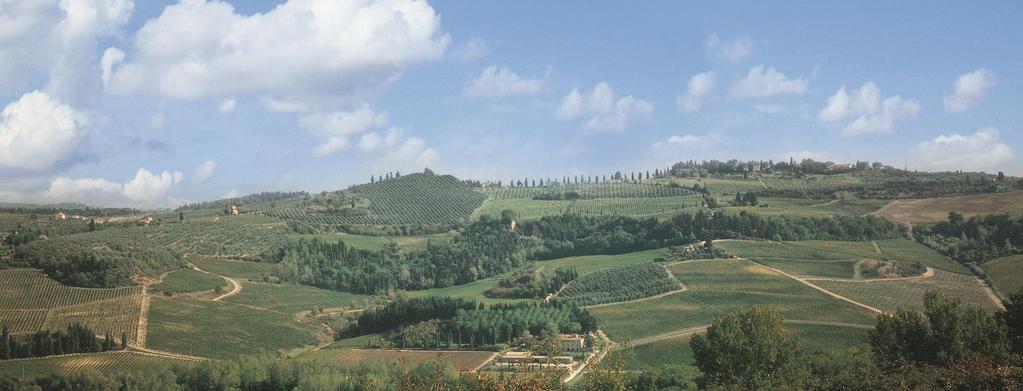 Le Strade del Vino dell Olio e dei