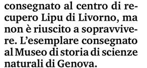 Sezione: SECOLO XIX LA SPEZIA Dir.