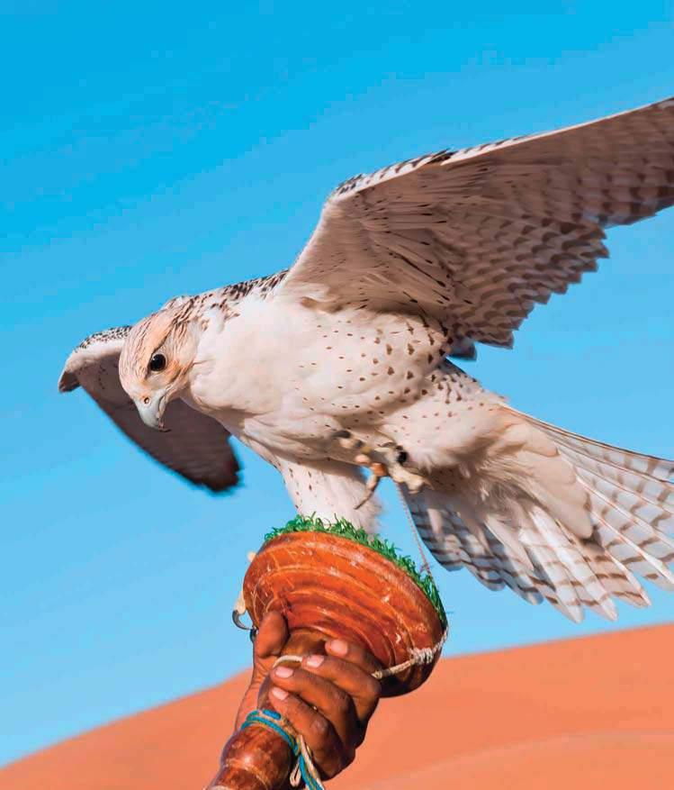 sud dell Oman, dove eleganza e attenzione ai dettagli sono
