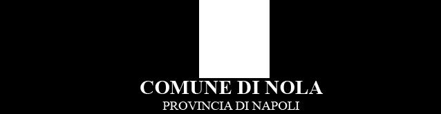 Presa d atto verbale di gara e aggiudicazione definitiva. Il Dirigente dell U.T.C. - LL.PP. Premesso che al Comune di Nola è stato assegnato da parte della Provincia di Napoli un finanziamento di 283.
