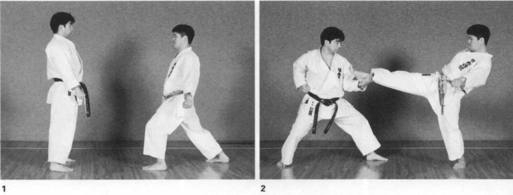 Mae-Geri No. 5 1-2.