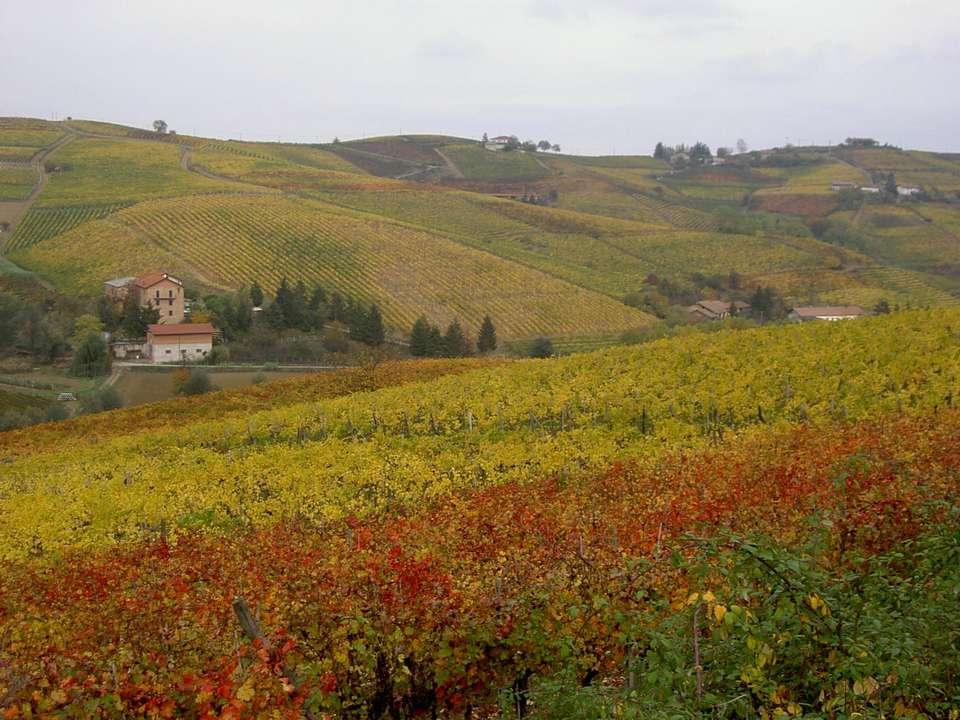 LA TUTELA DEL PAESAGGIO a) i territori costieri compresi in una fascia della profondità di 300 metri dalla linea di battigia, anche per i terreni elevati sul mare; b) i territori contermini ai laghi