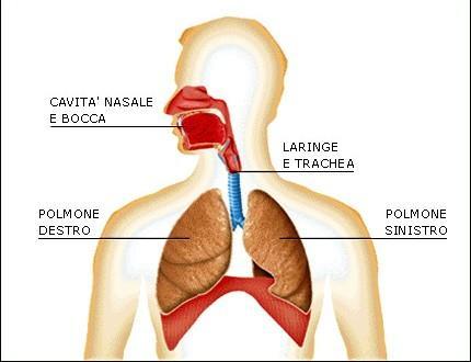 Come viene eliminato?