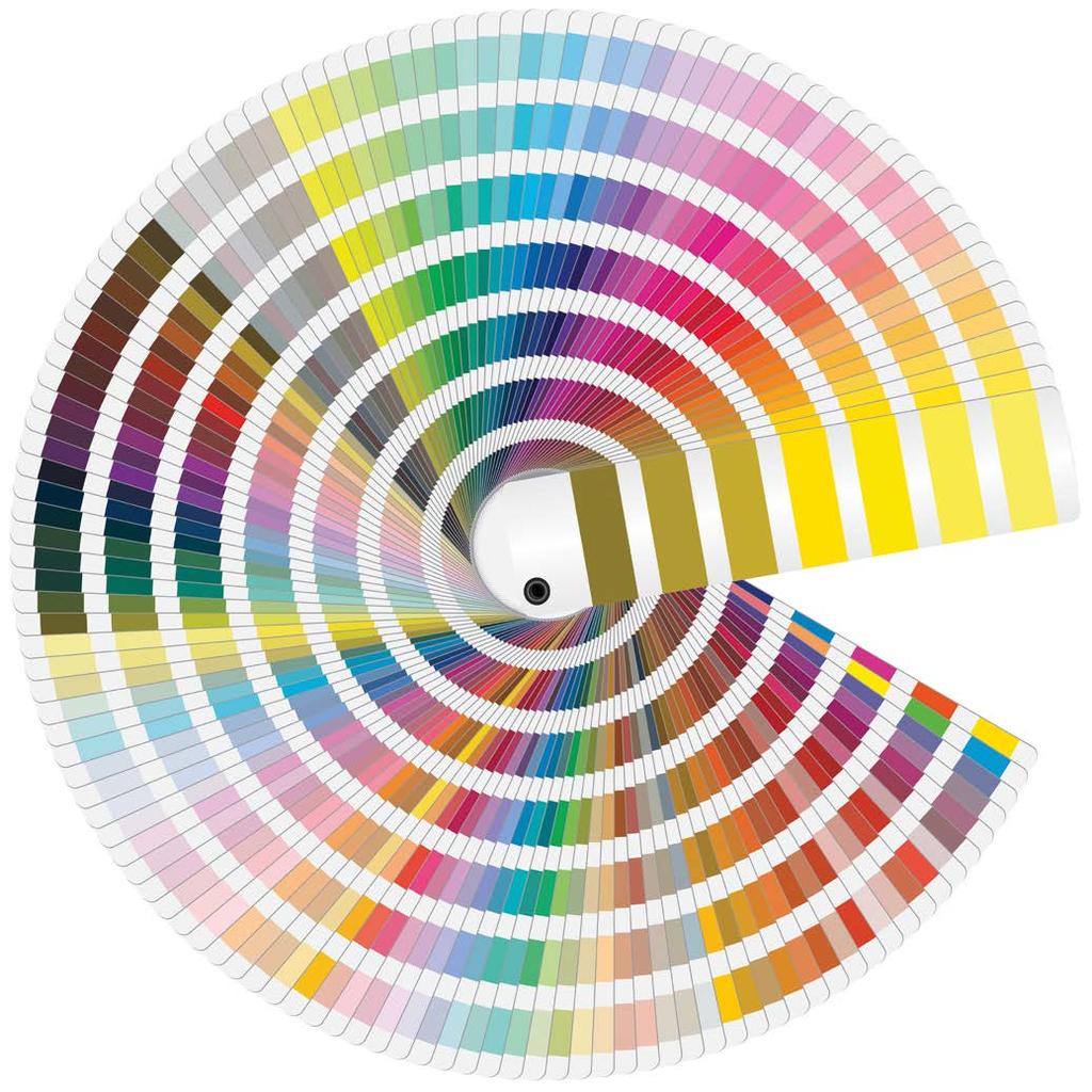 Le colorazioni di One Le colorazioni e le laccature sono ottenute mediante l utilizzo delle più pregiate terre e pigmenti naturali con le quali siamo in grado di proporre oltre 4000 colori