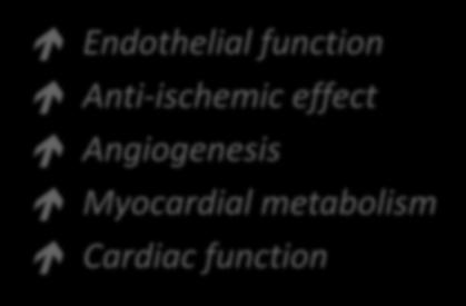 Anti-ischemic effect Angiogenesis