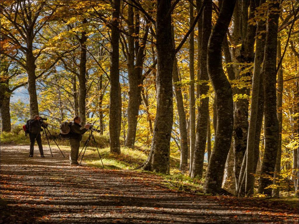 Piano per il parco: ambiti territoriali Il piano suddivide il territorio in base al diverso grado di protezione,