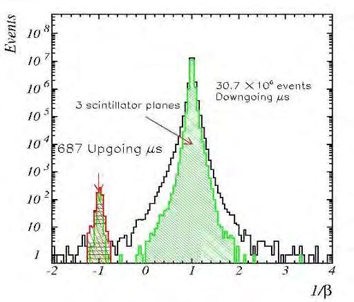 MACRO Upward throughgoing muons 1/β