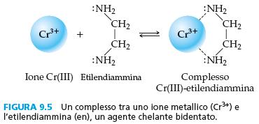 Complessi di agenti chelanti e ioni metallici Gli agenti chelanti sono leganti caratterizzati da due o più atomi portanti un doppietto elettronico non condiviso (ad esempio due atomi di azoto o di