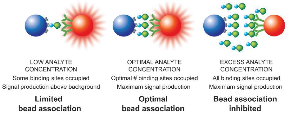 IMPORTANZA DELLA DILUIZIONE E EFFETTO UNCINO Segnale Concentrazione analita L'effetto uncino è dovuto alla saturazione delle biglie con l'analita,