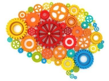 Cognitivo: utilizzo di strategie di rielaborazione attiva e