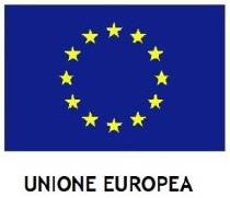 9952, del 17 dicembre 2014 della Commissione Europea; VISTO il bando PON FESR prot. n.