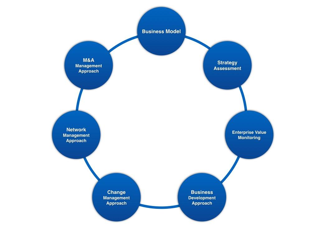 Business Strategy Approach Development*