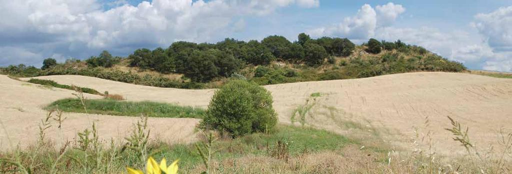 Il sito di Ficoncella si trova nel comune di Tarquinia, lungo le sponde dell attuale valle del Mignone.