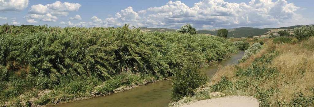 La Valle del Mignone Il fiume Mignone nasce alla confluenza del fosso della Strega con il fosso Papagliano nel territorio di Bassano Romano.