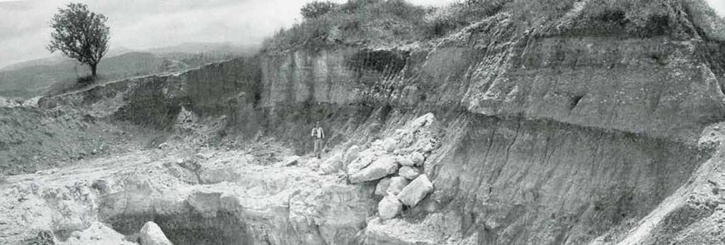 In una vecchia cava di Montericcio (Tarquinia), è stato scoperto uno dei più interessanti siti paleontologici del Lazio. I resti animali risalgono al Pleistocene Inferiore (circa 1.