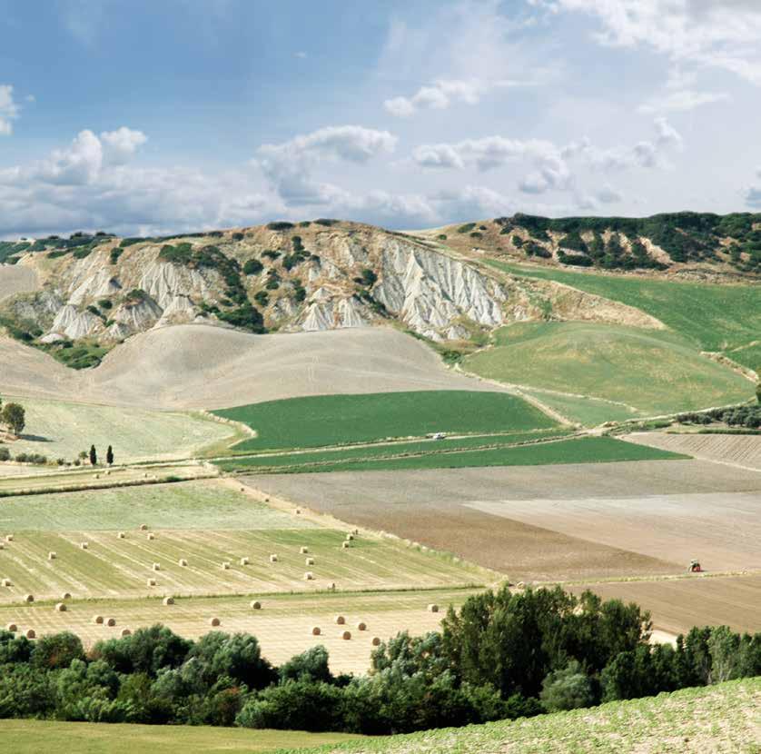 Inserire un breve testo descrittivo della foto: descrizione dello stato attuale dei luoghi.