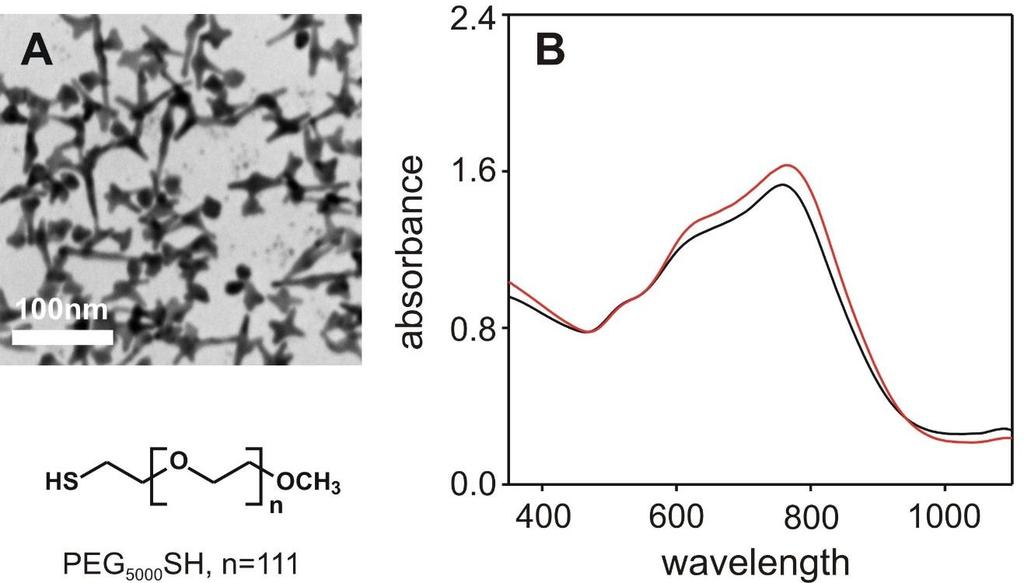 Nanomedicina: devices nanostrutturati per la terapia