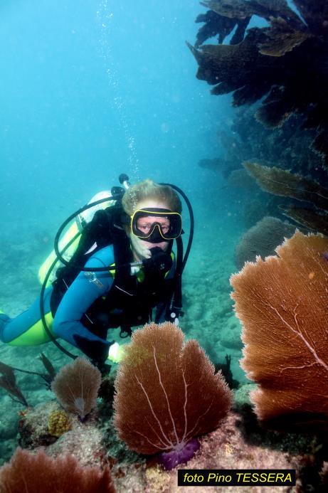 sott acqua 80 metri Questo obbiettivo è adatto per fotocamere con sensore sino a 1, aggiuntivo grandangolare poco spinto per ottiche 24mm.