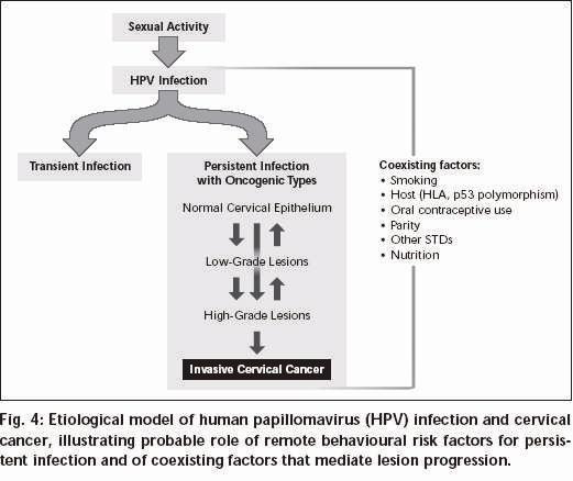 Infezione da Human Papillomavirus (HPV) e Tumori della Cervice Uterina 99% delle Neoplasie Cervicali sono HPV+.