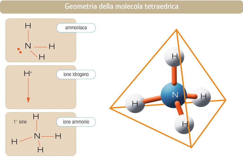 Poiché l idrossido di ammonio ha una costante di dissociazione bassa (1,8 10-5 mol/l) la concentrazione dello ione ossidrile ([OH-]) è molto piccola rispetto