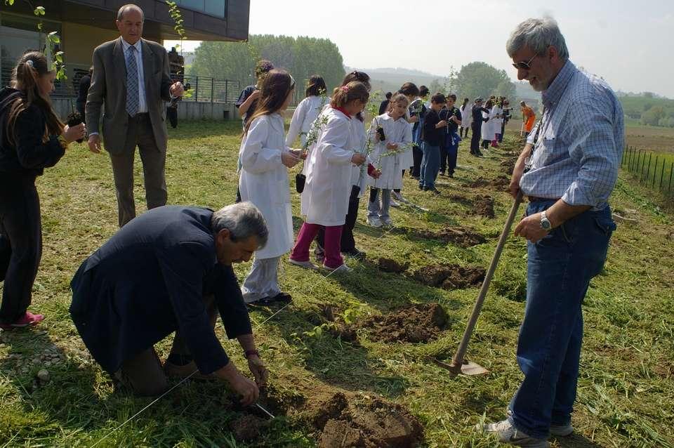 VEGETAZIONE DELL EX-CANTINA