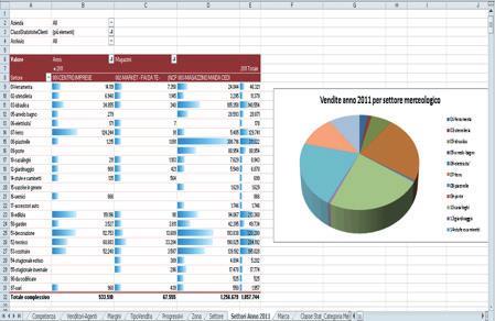 del venduto sono: Comune/Località Tipo vendita/acquisto Promozioni Valorizzati Quantità venduta Valore venduto/fatturato Valore medio venduto Costi Margine/Ricarico Documenti emessi Per l analisi