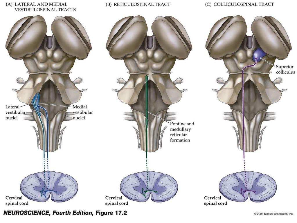 Descending systems