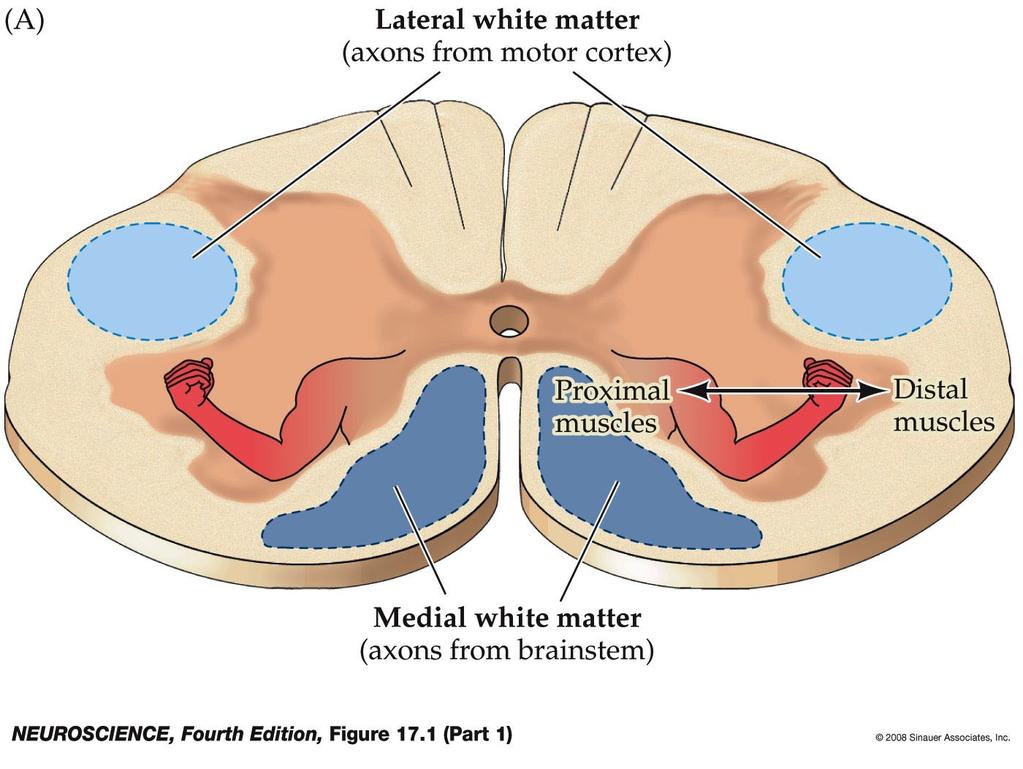 Overview of