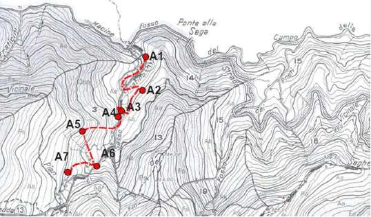 Rosalia alpina Tecniche di monitoraggio - Azione A2 Esempio di mappa topografica (Sasso Fratino 1: 20.