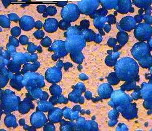 BROCHANTITE: formulazione le particelle elementari di BROCHANTITE vengono concentrate in granuli secchi mediante un procedimento di