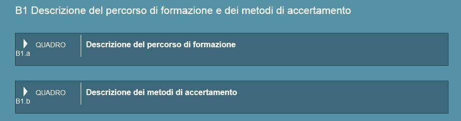 Sezione B Esperienza dello studente La sezione B è composta da diversi quadri ciascuno dei quali contiene la descrizione di aspetti particolari dell esperienza dello studente dal piano degli studi,