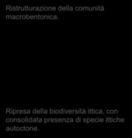 Monitoraggio post operam (2012-2014 Ristrutturazione della comunità macrobentonica.