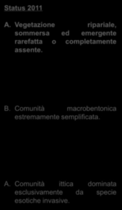 Status 2011 A. Vegetazione ripariale, sommersa ed emergente rarefatta o completamente assente. B. Comunità macrobentonica estremamente semplificata. A. Comunità ittica dominata esclusivamente da specie esotiche invasive.