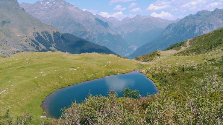 lli Calvi 2006 m ; il primo tratto piuttosto ripido sarà percorso su una mulattiera situata in un fitto bosco, fino ad arrivare ai prati alti da dove si può