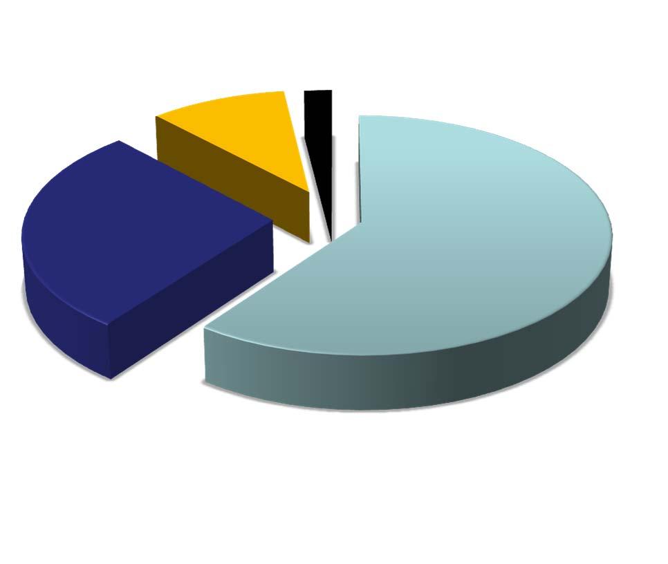 Azionisti e Corporate Governance Le quattro famiglie dei soci fondatori controllano il 60% delle azioni attraverso quote paritarie. Non c é un accordo sindacale tra di loro.