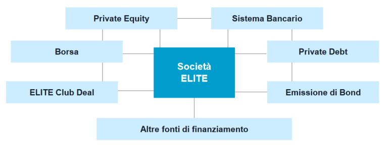 Elite è per aziende con un modello di business solido e una chiara strategia di crescita I numeri delle aziende Elite