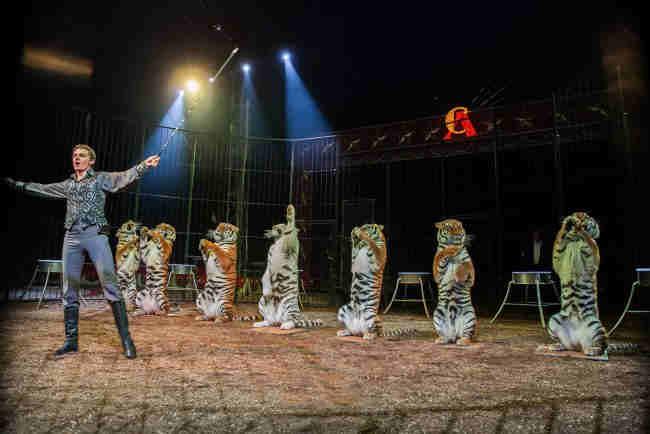 8 American Circus a Verona, un nuovo show per il più grande circo del mondo 16 Febbraio 2019 Tra le novità il più grande gruppo di elefanti d Europa, il nuovo numero di tigri di Bruno Togni, gli