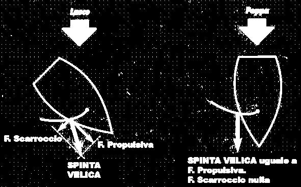 spinta velica, con la barca nell andatura di bolina: scomponendolo con la regola del parallelogramma, otteniamo le componenti di FORZA PROPULSIVA (FP) e FORZA SCARROCCIO (FS).