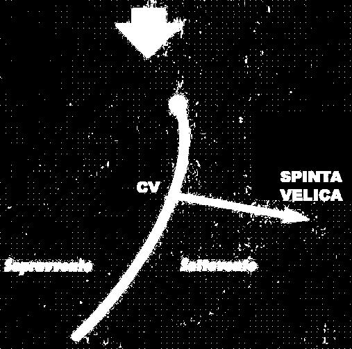 Così come per la vela con il vento, quando l acqua investe la deriva con un certo angolo si crea una forza, la RESISTENZA IDRODINAMICA, che si oppone alla spinta velica.