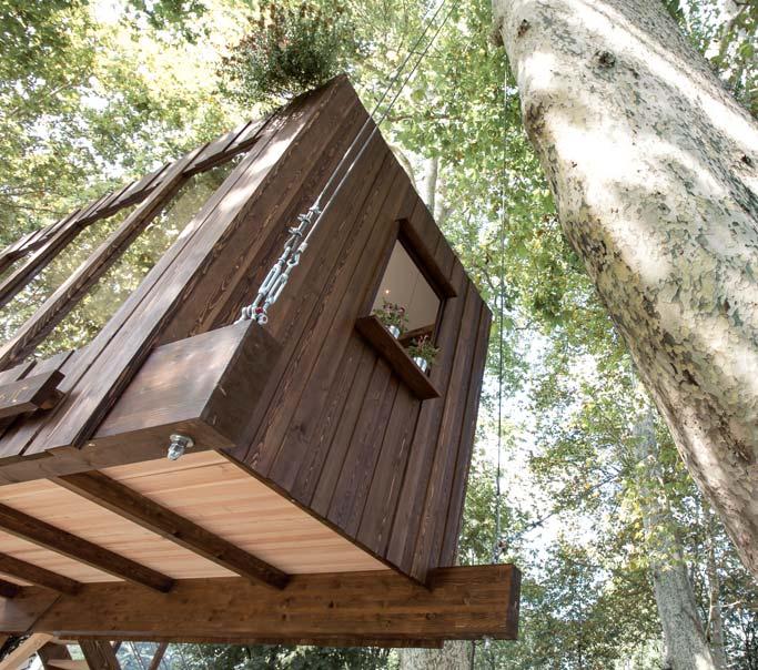 Una casa a qualche metro da terra, ancorata ai rami forti di un albero e protetta dal verde.