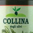 COLLINA Olio extra vergine di oliva L olio extra vergine di oliva Collina è un olio filtrato ottenuto da una sapiente miscela degli oli extra vergine del