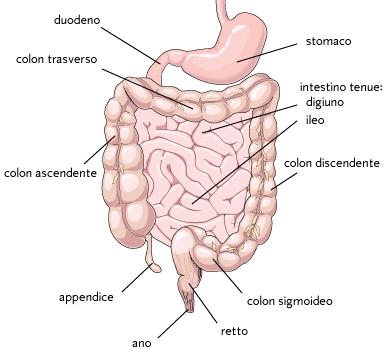 Aspirina Dissoluzione bassa (gastrolesività)