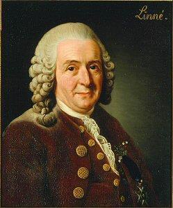 Carlo Linneo Linneo nacque nel nord Europa, ossia in Svezia, il 23 maggio 1707.