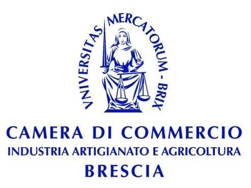 Brescia e la crisi economica Rapporto elaborato a cura dell Ufficio Studi della Camera di Commercio