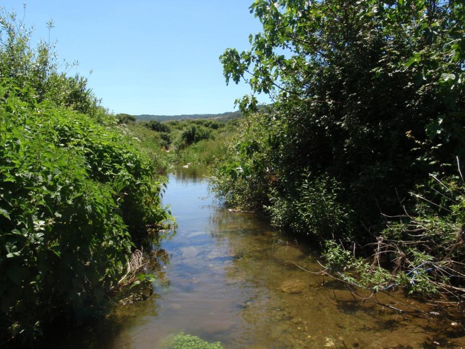 Local hydro-morphology, habitat and RBMPs: new measures to improve ecological quality